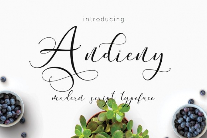 Andieny Font Download