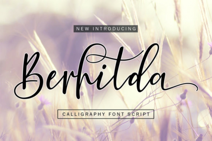 Berhilda Font Download