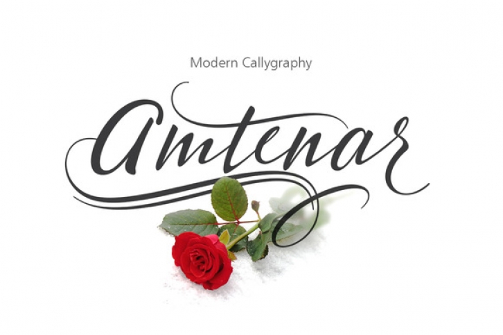 Amtenar Font Download