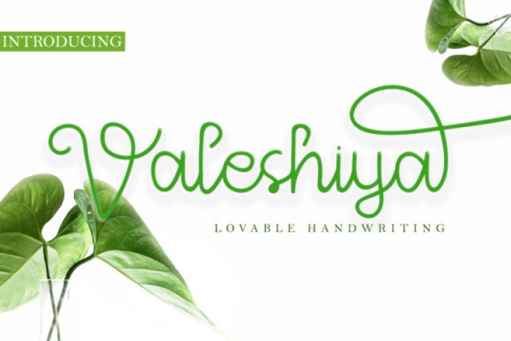 Valeshiya Font Download