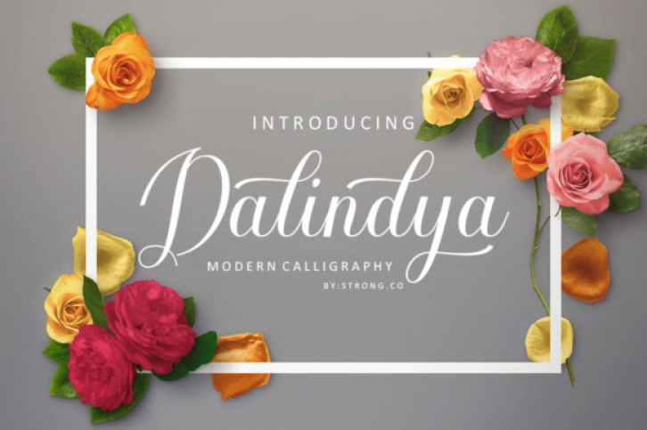 Dalinya Font Download