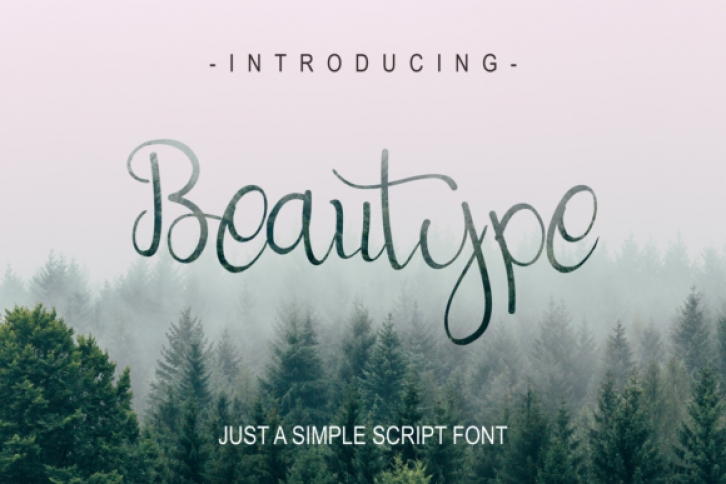 Beautype Font Download