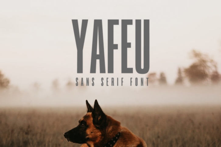Yafeu Family Font Download