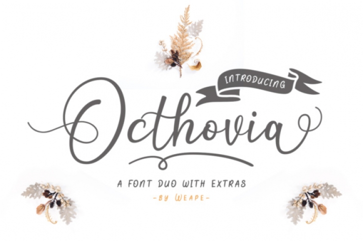 Octhovia Duo Font Download
