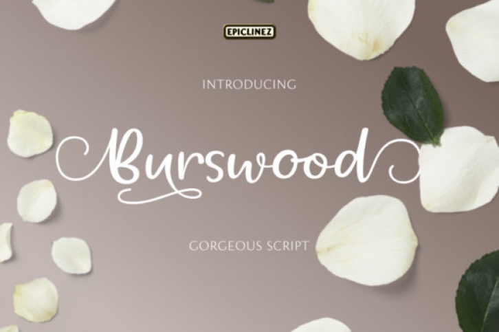 Burswood Font Download
