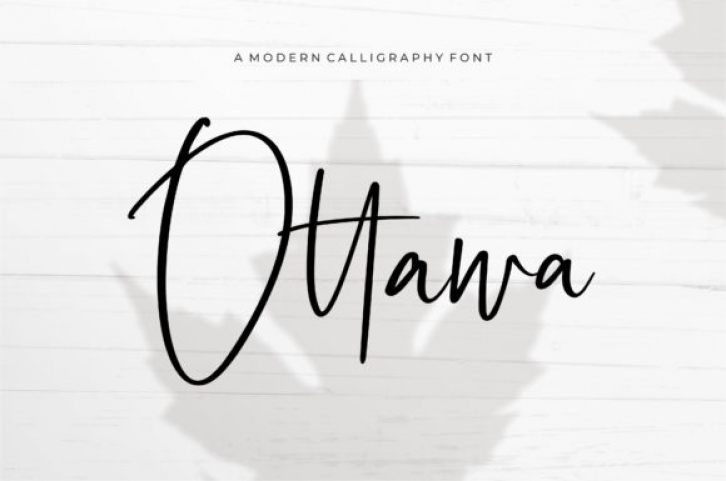 Ottawa Font Download