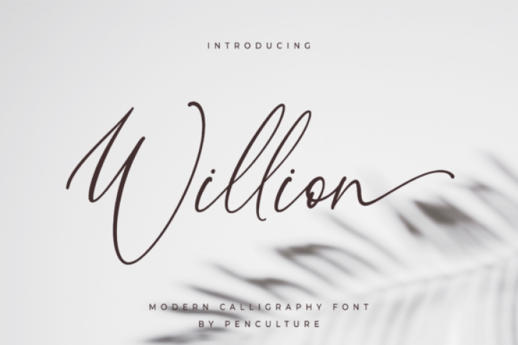 Willion Font Download