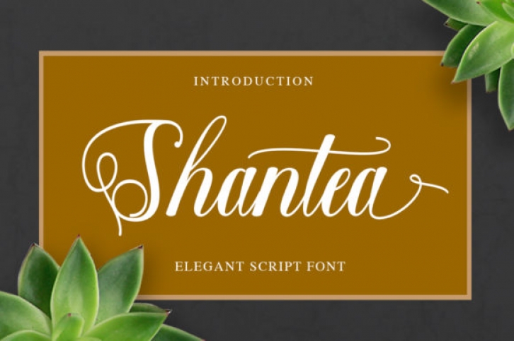 Shantea Font Download