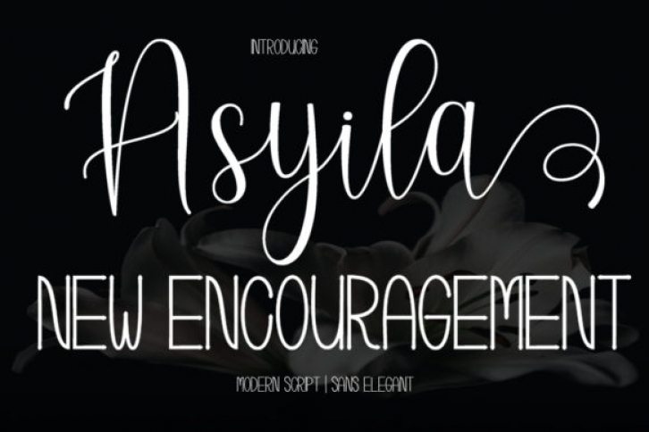 Asyila Duo Font Download