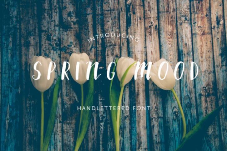 Spring Mood Font Download