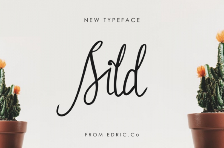 Sild Font Download