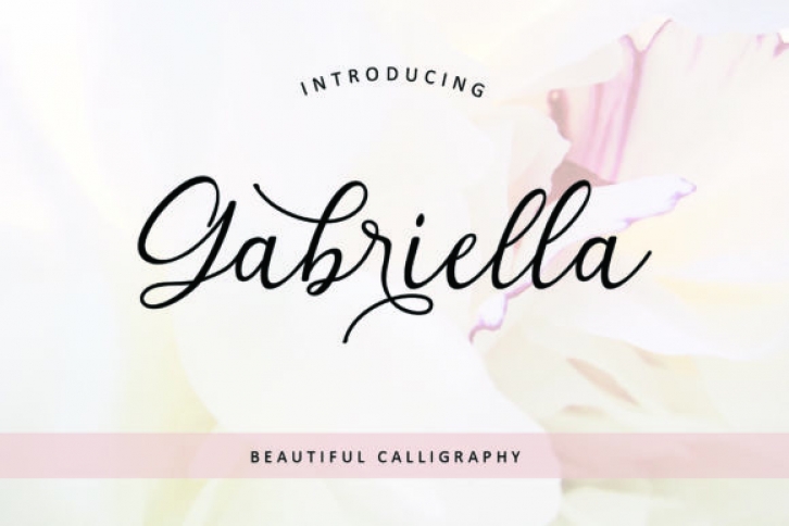 Gabriella Font Download