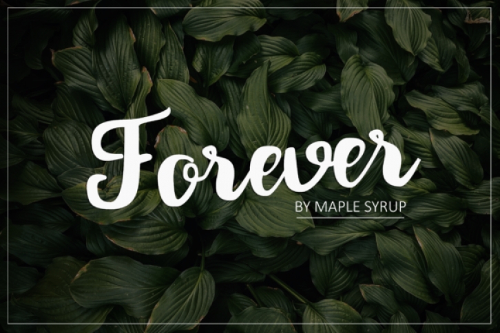 Forever Script Font Download