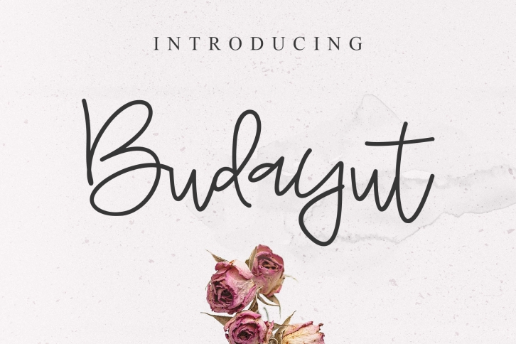 Budayut Font Download