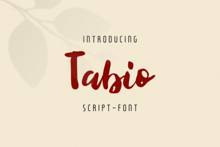 Tabio Font Download