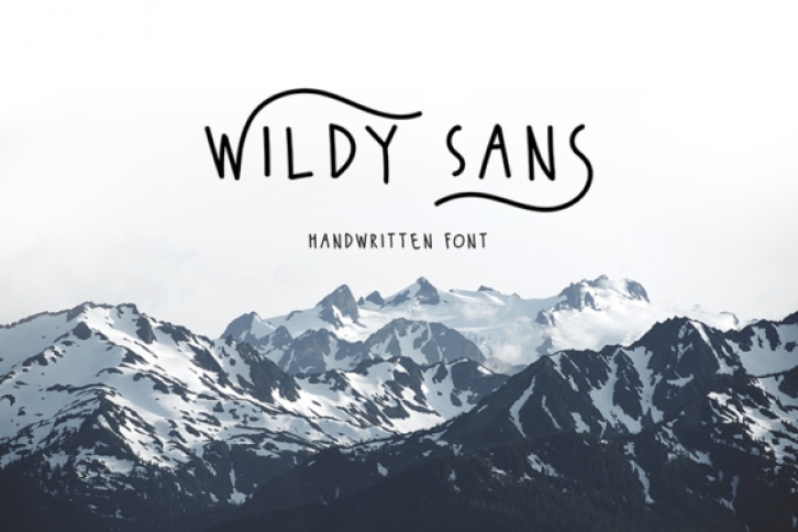 Wildy Sans Font Download