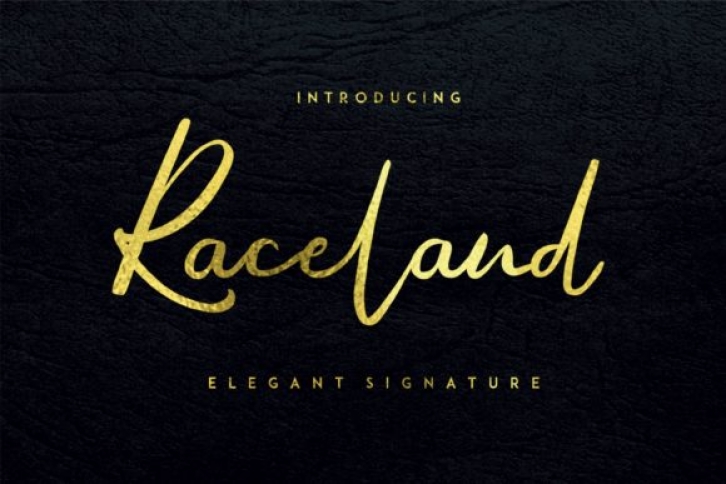 Raceland Font Download