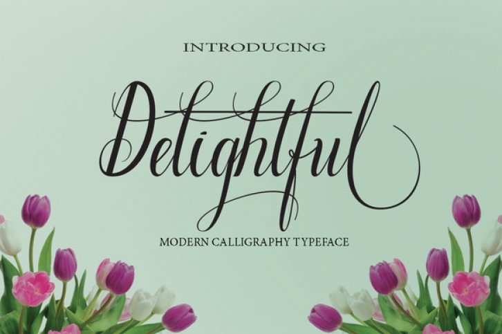 Delightful Font Download
