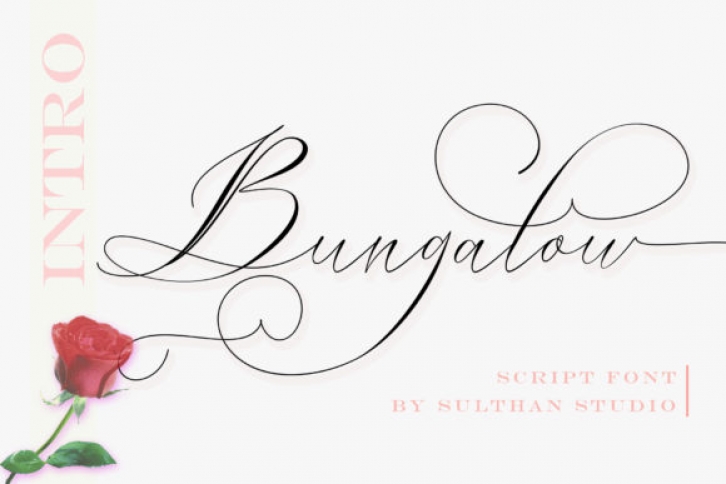 Bungalow Script Font Download