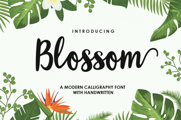 Blossom Script Font Download