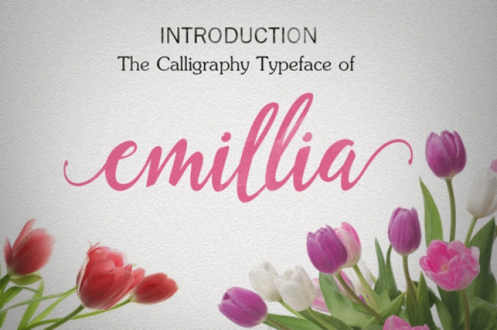 Emillia Script Font Download