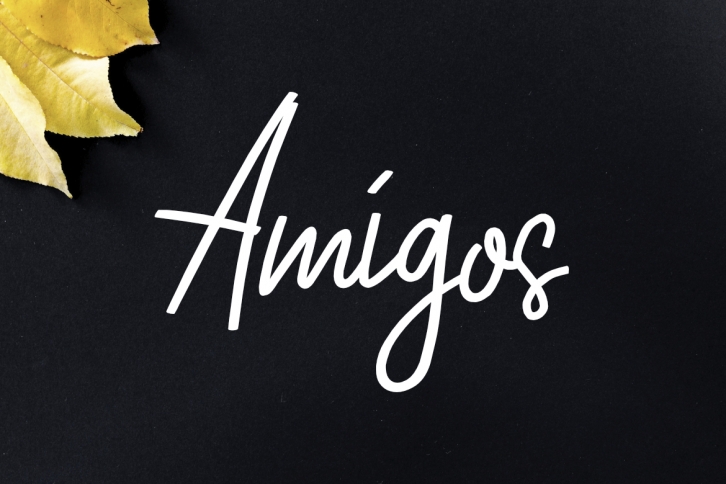 Amigos Font Download