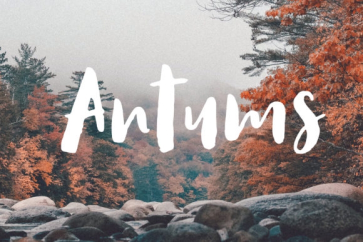 Antums Font Download