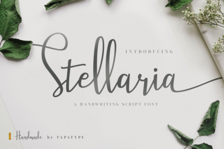 Stellaria Font Download
