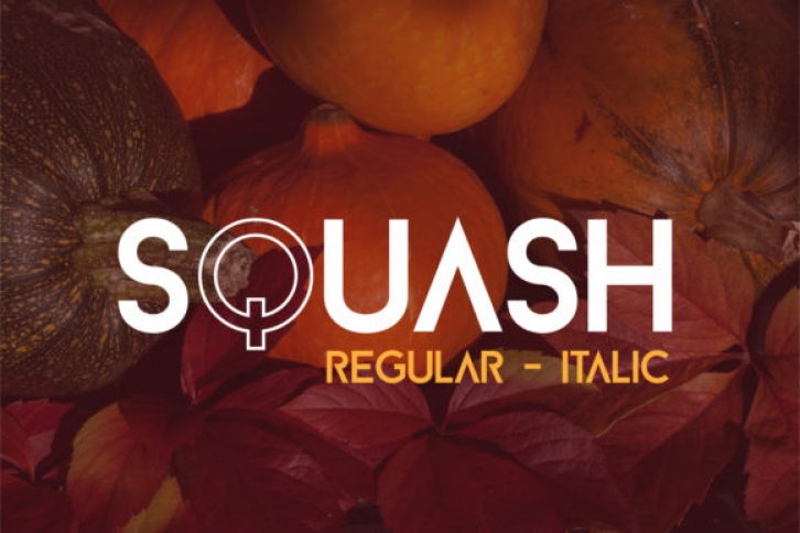 Squash Font Download