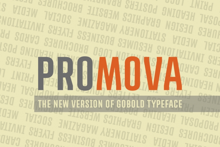 Promova Font Download