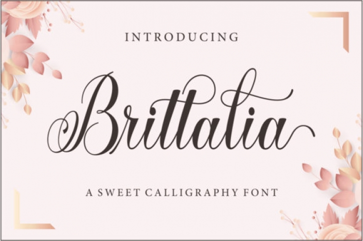Brittalia Script Font Download