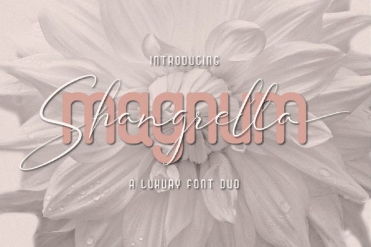 Magnum Shangrella Duo Font Download