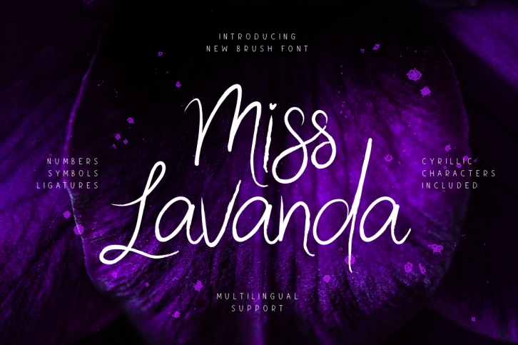 Miss Lavanda Font Download