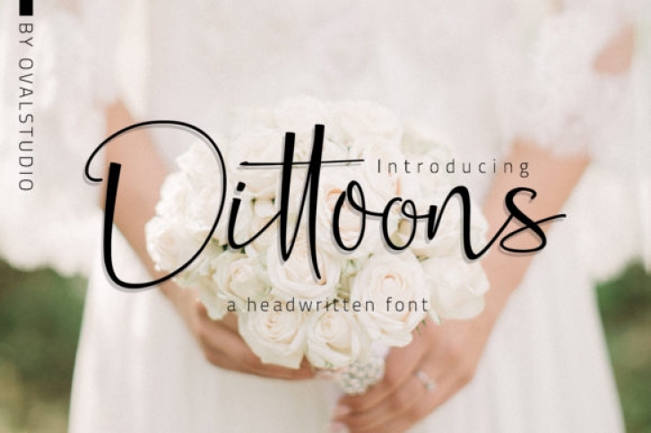 Dittoons Font Download
