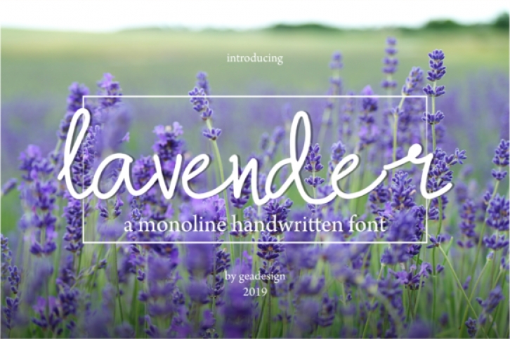 Lavender Font Download