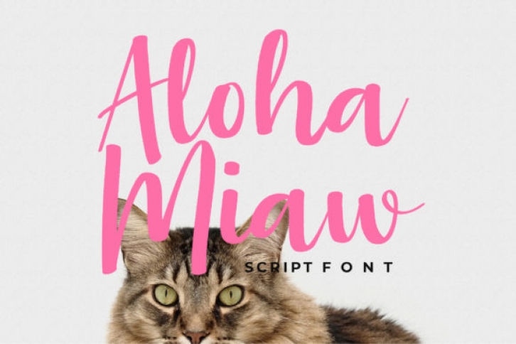 Aloha Miaw Font Download