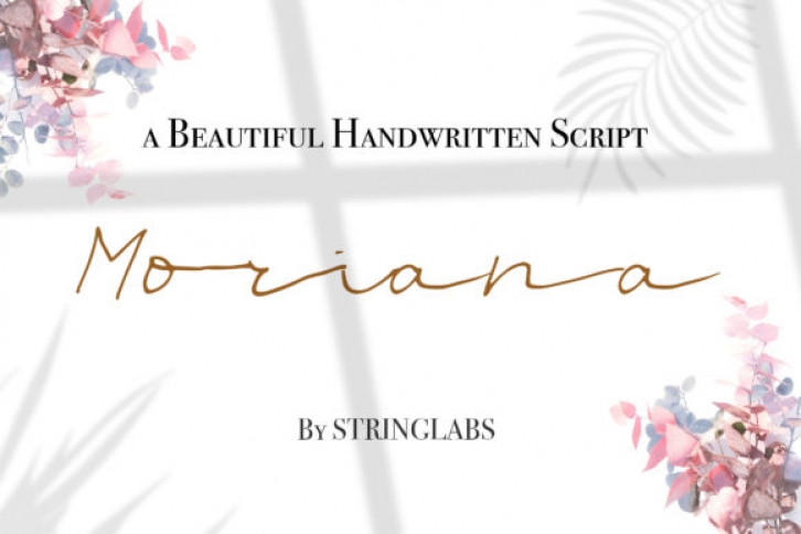 Moriana Font Download