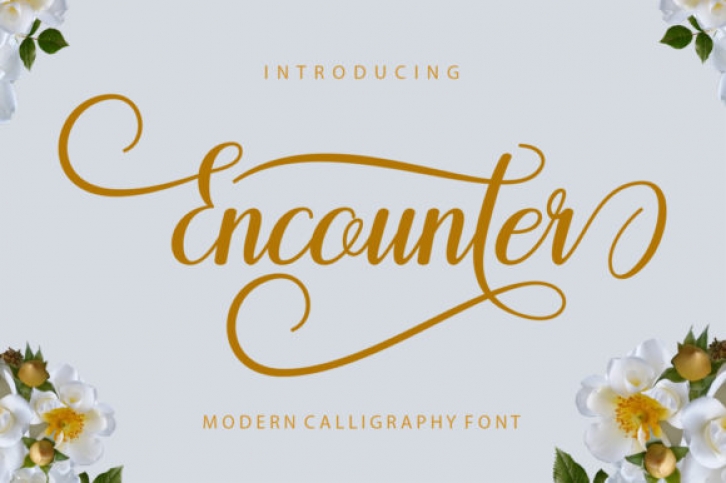 Encounter Font Download