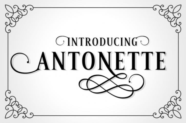 Antonette Font Download