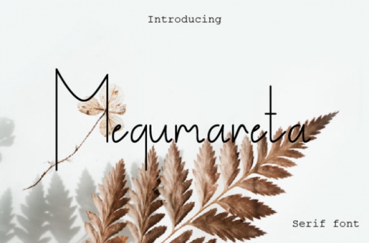 Megumareta Font Download