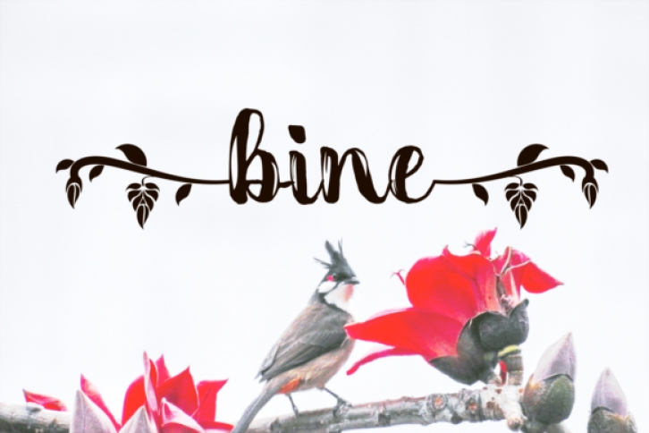 Bine Font Download