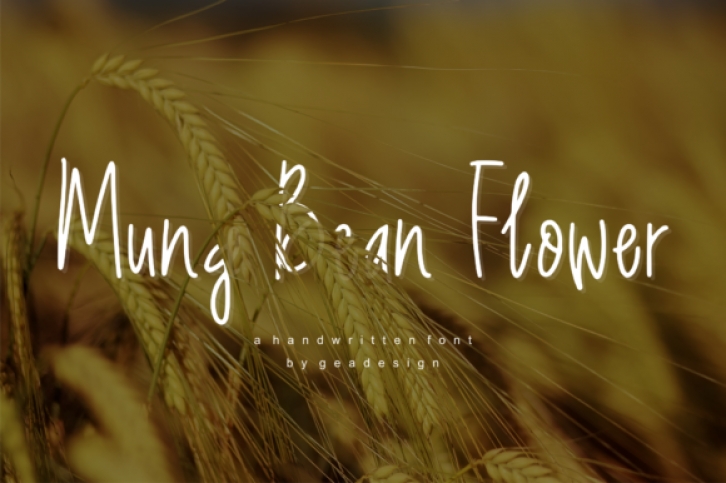 Mung Bean Flower Font Download