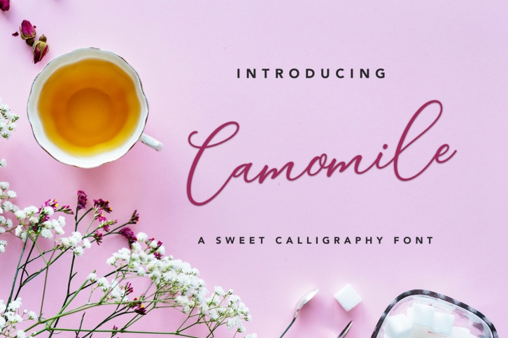 Camomile Script Font Download