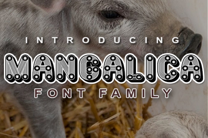 Mangalica Font Download