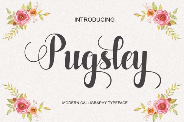 Pugsley Font Download