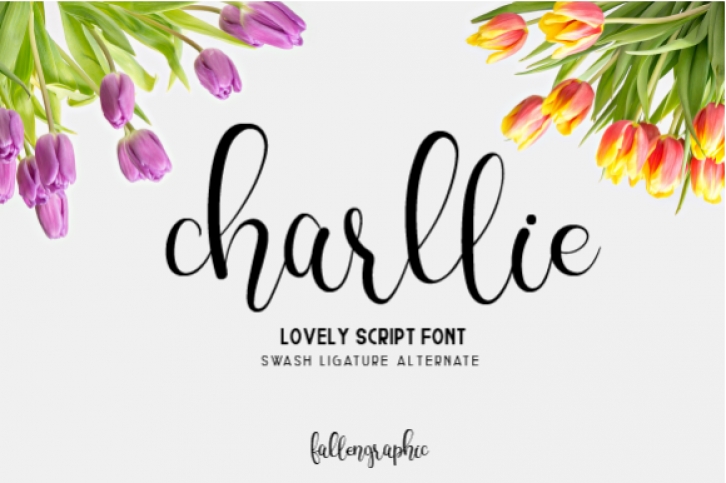 Charllie Script Font Download