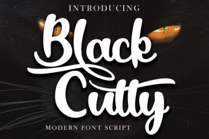 Black Catty Script Font Download