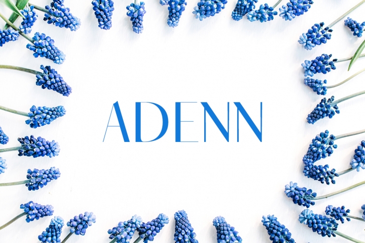 Adenn Font Download