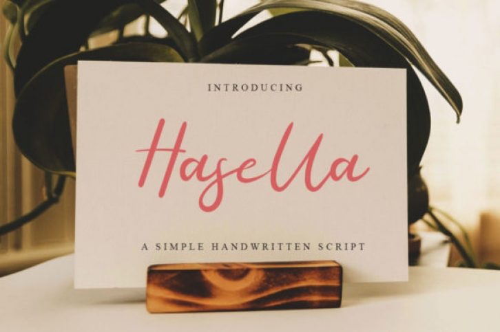 Hasella Script Font Download