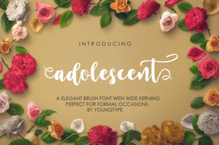 Adolescent Font Download
